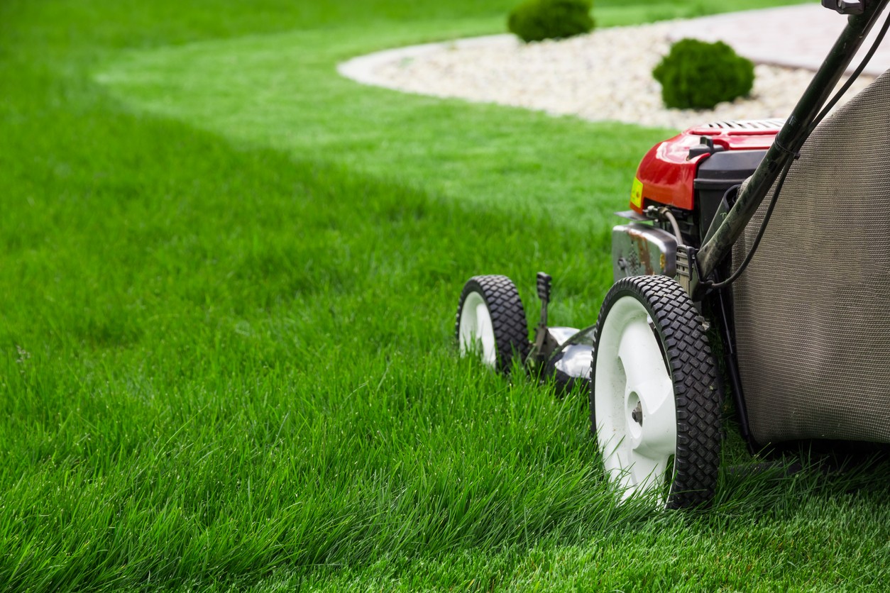 mowing-lawn-with-lawnmower