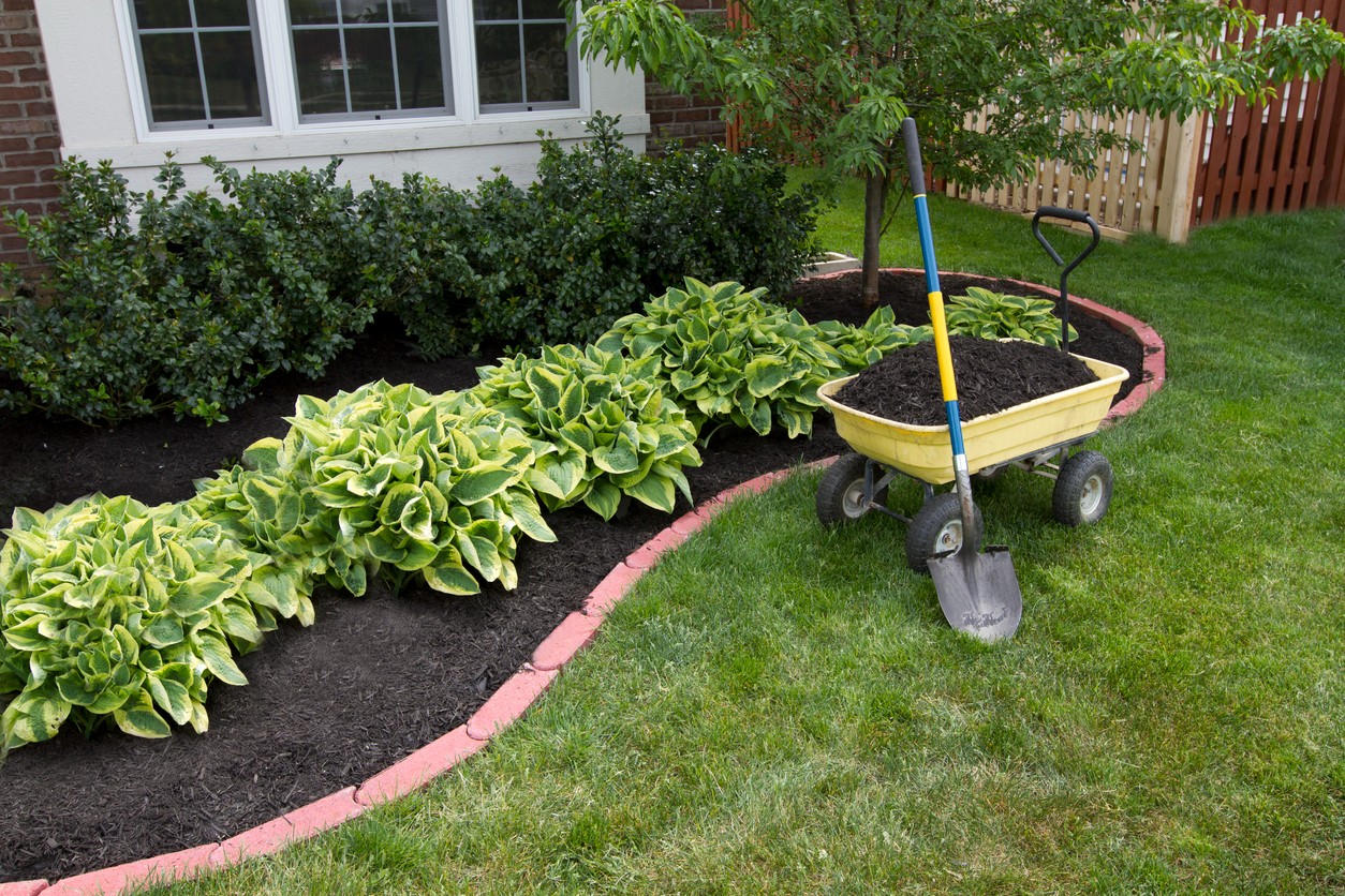 mulched-landscaping